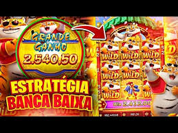 7 games bet casino Cartaz