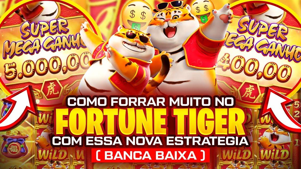 pix net aposta Cartaz